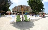 Туры в отель The Boardwalk Village