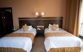 Туры в отель Dead Sea Spa Resort