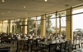 Туры в отель Dead Sea Spa Resort