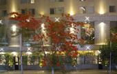 Туры в отель Museum House Hotel