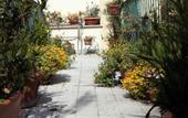 Туры в отель Casa vacanza Stella Elsa