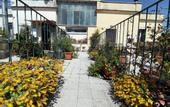 Туры в отель Casa vacanza Stella Elsa