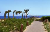 Туры в отель Viva Blue Resort