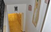 Туры в отель Great Pyramid Inn