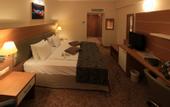 Туры в отель Dedeman Ankara