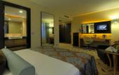 Туры в отель Dedeman Ankara