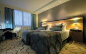 Туры в отель Dedeman Ankara