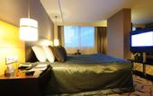 Туры в отель Dedeman Ankara