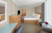 Туры в отель Dedeman Istanbul