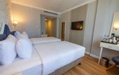 Туры в отель Dedeman Istanbul