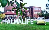 Туры в отель Palmalife Lankaran Resort