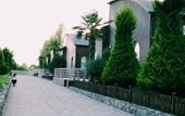 Туры в отель Palmalife Lankaran Resort