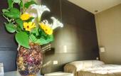 Туры в отель Dea Roma Inn