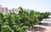 Туры в отель Residence Amwaj