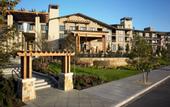 Туры в отель The Westin Veras