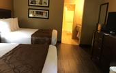 Туры в отель Best Western Hospitality Lane