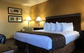 Туры в отель Best Western Hospitality Lane