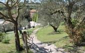 Туры в отель Borgo Di Tragliata