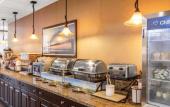Туры в отель Comfort Inn Downtown Memphis