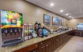 Туры в отель Comfort Inn Downtown Memphis