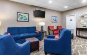 Туры в отель Comfort Inn Downtown Memphis