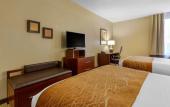 Туры в отель Comfort Inn Downtown Memphis
