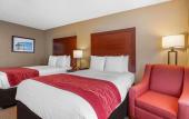 Туры в отель Comfort Inn Downtown Memphis