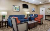 Туры в отель Comfort Inn Downtown Memphis
