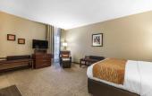 Туры в отель Comfort Inn Downtown Memphis