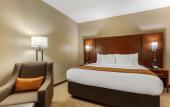 Туры в отель Comfort Inn Downtown Memphis