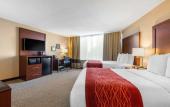 Туры в отель Comfort Inn Downtown Memphis