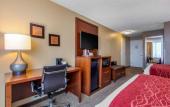 Туры в отель Comfort Inn Downtown Memphis