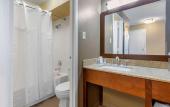 Туры в отель Comfort Inn Downtown Memphis