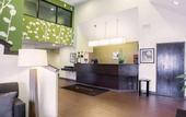 Туры в отель Sleep Inn Nashville