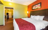 Туры в отель Comfort Suites East Knoxville