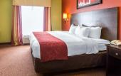 Туры в отель Comfort Suites East Knoxville