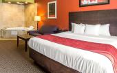 Туры в отель Comfort Suites East Knoxville