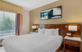 Туры в отель Comfort Suites East Knoxville