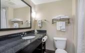 Туры в отель Comfort Suites East Knoxville