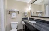 Туры в отель Comfort Suites East Knoxville