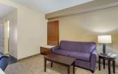 Туры в отель Comfort Suites East Knoxville