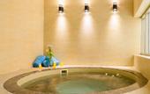 Туры в отель Crystal Plaza Al Majaz Hotel