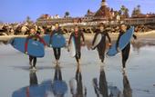 Туры в отель Del Coronado