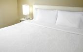 Туры в отель Hilton Garden Inn Savannah Midtown