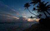 Туры в отель KK Beach