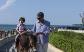 Туры в отель Aldemar Olympian Village