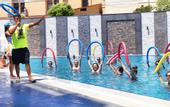 Туры в отель Imperial Turkiz Resort Hotel