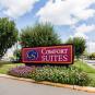 Туры в отель Comfort Suites Westchase, оператор Anex Tour