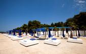 Туры в отель Delfin Plava Laguna