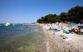 Туры в отель Delfin Plava Laguna